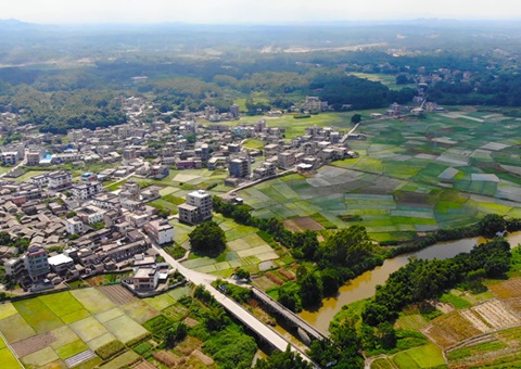 广西：农地入市  收益共享<br>自然资源部分增强政策指导和手艺服务