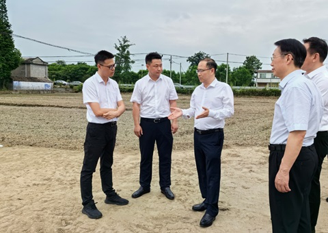 胡云赴眉山调研耕地；；；；な褂煤透弑曜寂┨锝ㄉ枋虑