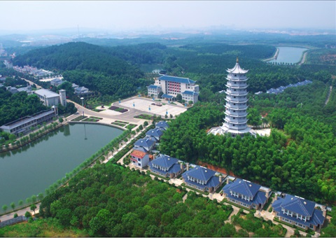 湖北：用好“一张图” ，，智治有支持